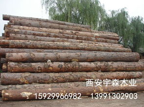 免熏蒸木箱托盘的未来之路 陕西宇森木业与竹木加工的创新实践