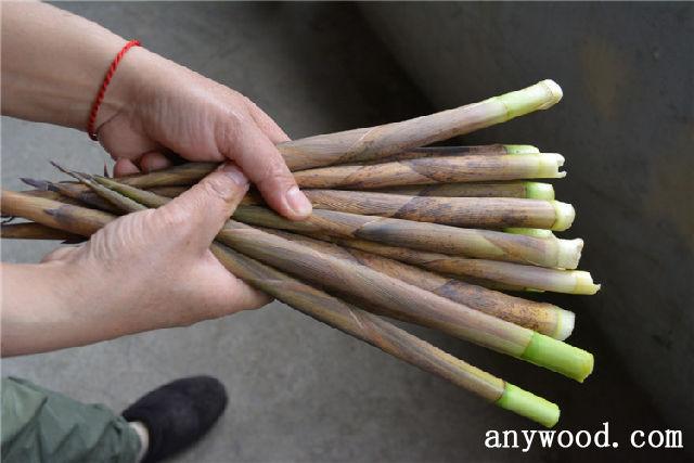 竹木加工产业现状与发展分析